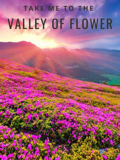 valley of flower Tour Service